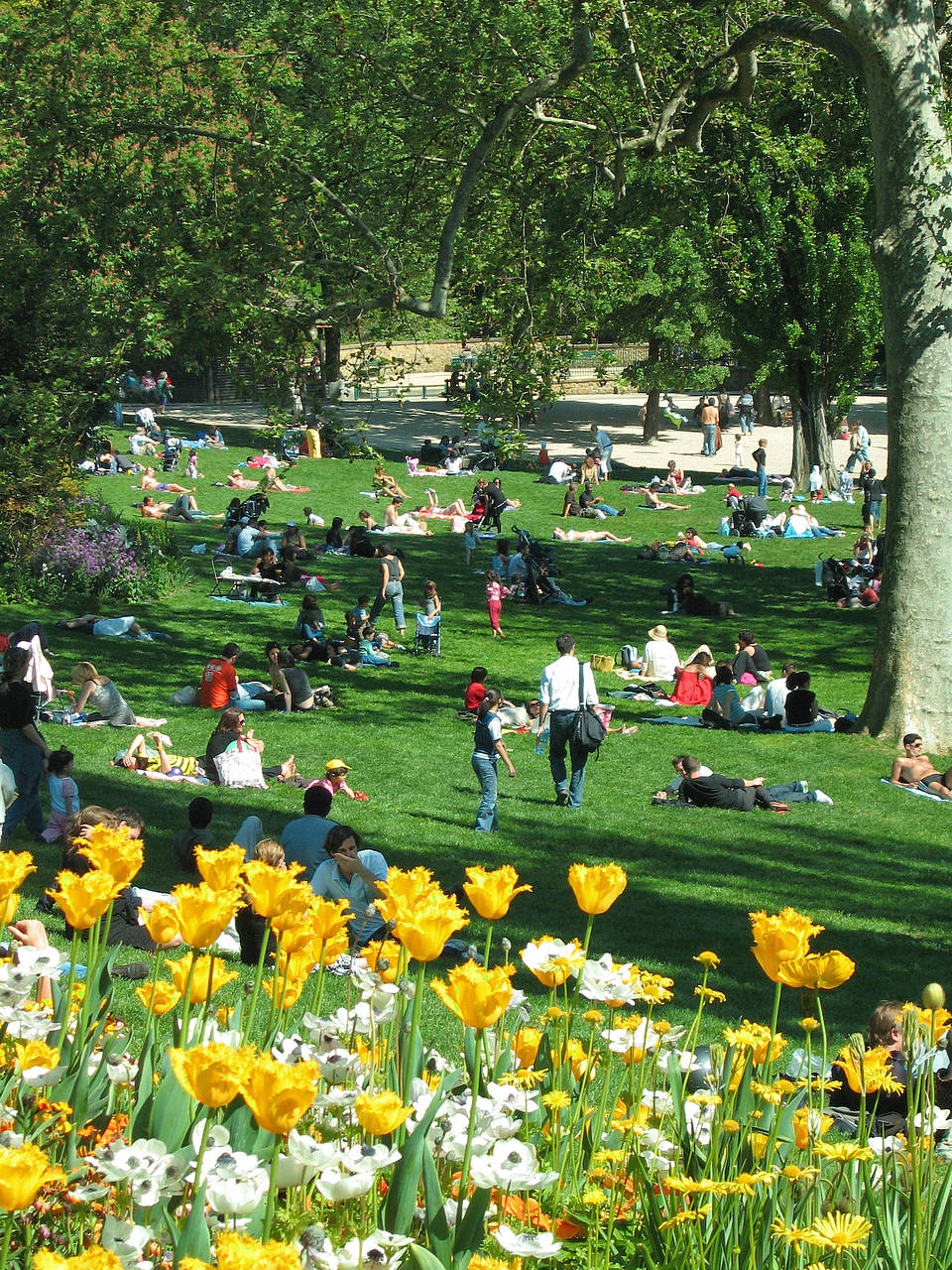 Fotos Park Buttes-Chaumont | Paris