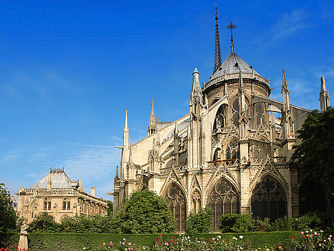 Notre-Dame - Ile de France - Paris (Paris)