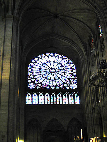 Notre Dame - Ile de France - Paris (Paris)