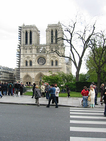 Notre Dame - Ile de France - Paris (Paris)