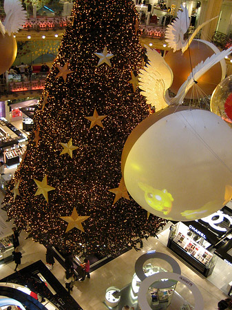 Weihnachtsbaum der Galeries Lafayette - Ile de France - Paris (Paris)