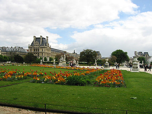 Garten vom Louvre - Ile de France - Paris (Paris)