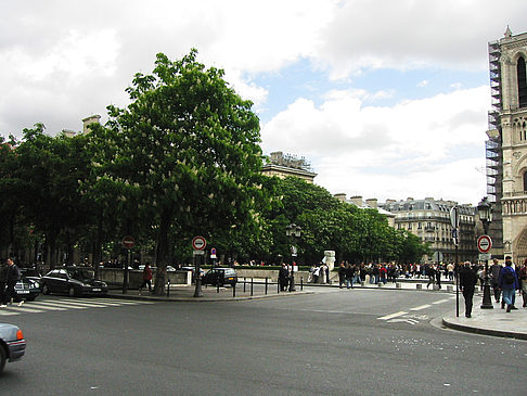 Île de la Cité - Ile de France - Paris (Paris)
