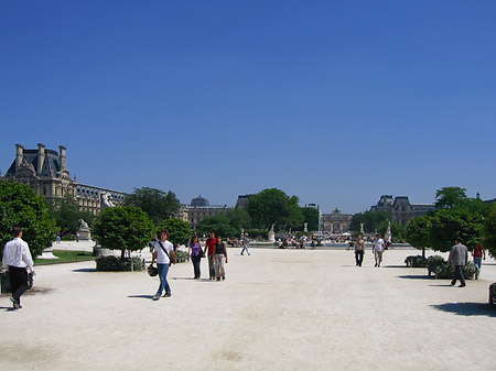 Jardin des Tuilleries Foto 