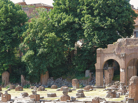 Basilica Iulia - Latium (Rom) (Rom)