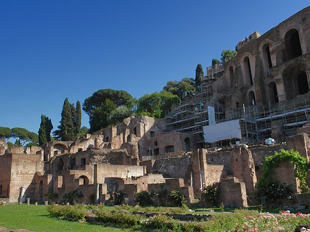 Basilica Iulia - Latium (Rom) (Rom)