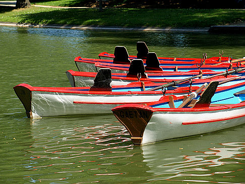 Bois de Vincennes Bild Sehenswürdigkeit  