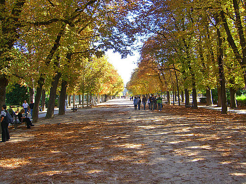 Jardin du Luxembourg Fotografie Sehenswürdigkeit  