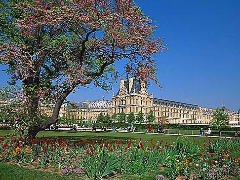 Impressionen Sehenswürdigkeit von Paris Blick auf den Louvre vom Jardin des Tulieres Rundgang im Louvre Bildansicht von Citysam