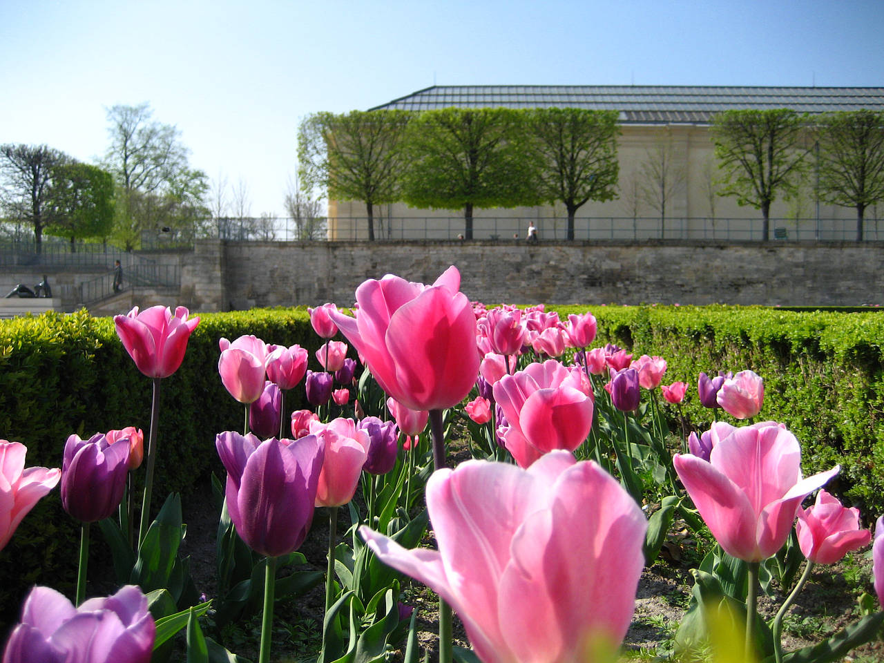 Fotos Jardin des Tuileries