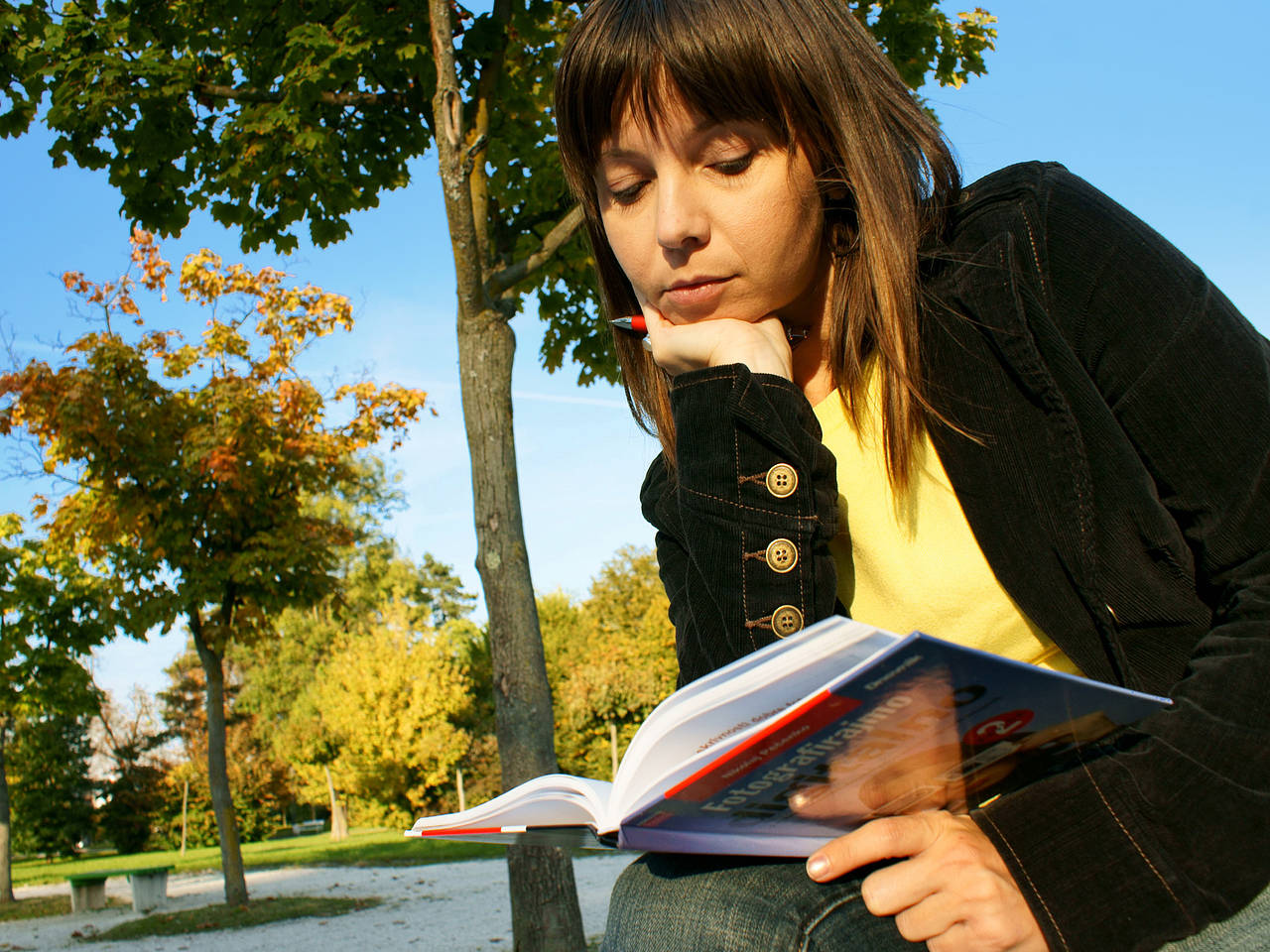 Foto Jardin des Tuileries