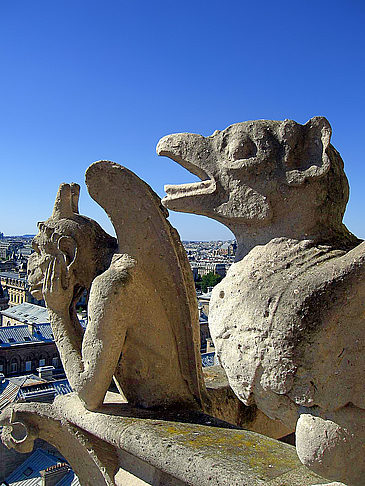 Fotos Notre-Dame | Paris