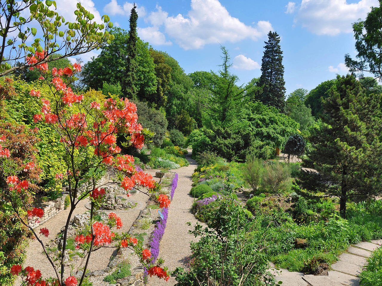 Fotos Jardin des Plantes