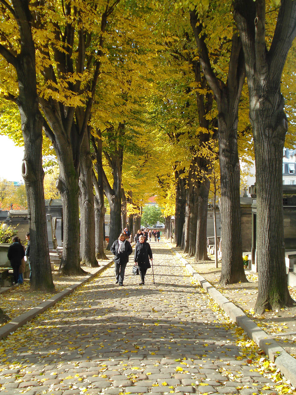 Cimetière Père Lachaise Bild Attraktion  