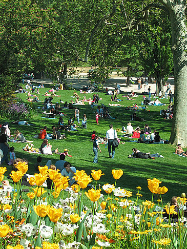 Fotos Park Buttes-Chaumont