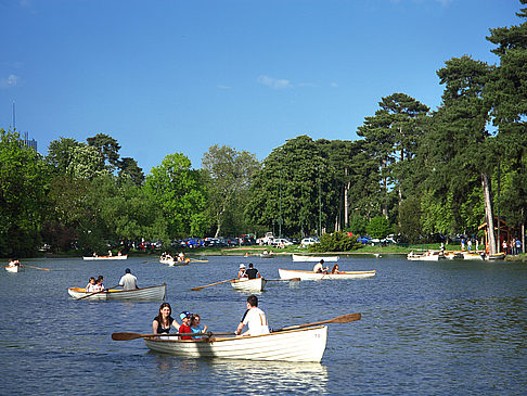 Bois de Boulogne - Ile de France - Paris (Paris)