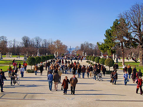 Jardin des Tuileries - Ile de France - Paris (Paris)