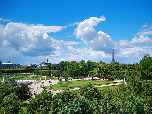 Jardin des Tuileries