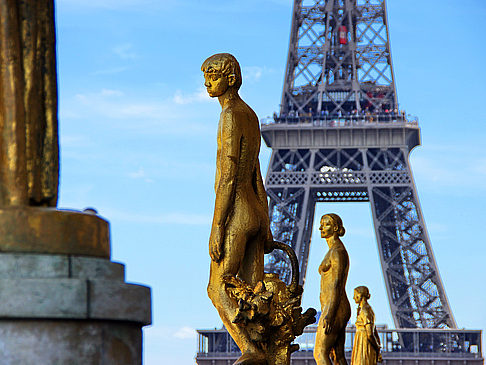 Palais de Chaillot - Ile de France - Paris (Paris)