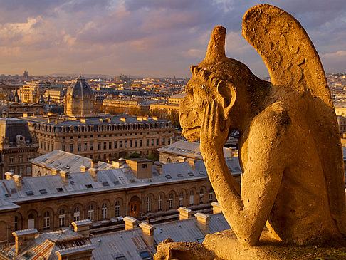 Foto Notre-Dame - Paris