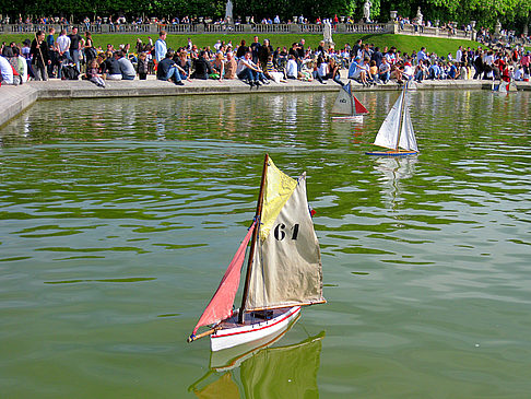 Jardin du Luxembourg - Ile de France - Paris (Paris)